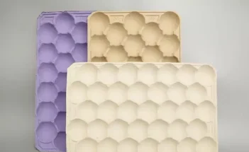 Fruit Tray Making Machine